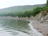 Falaise, parc national de Miguasha