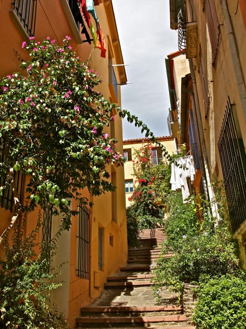Rue dans Collioure