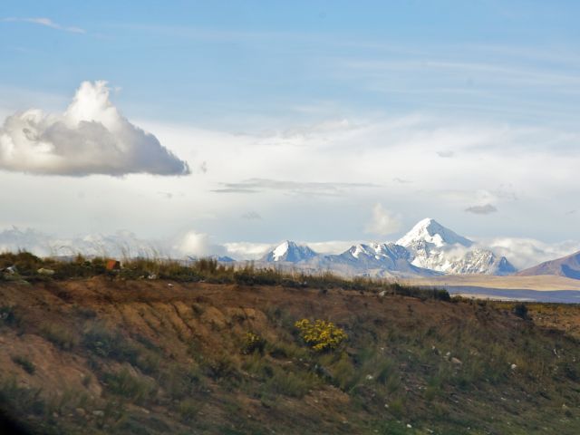 Cordillère Royale