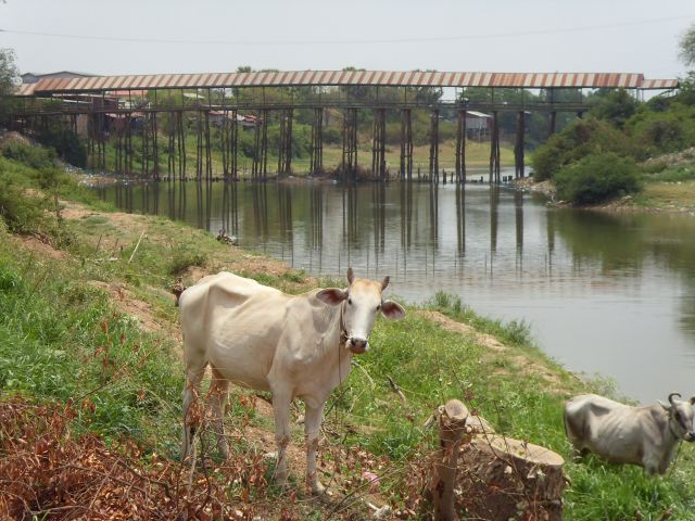 Covered bridge