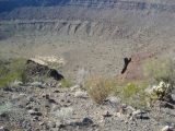 Cratère Elegante, réserve de biosphère El Pinacate et le Grand désert d'Altar