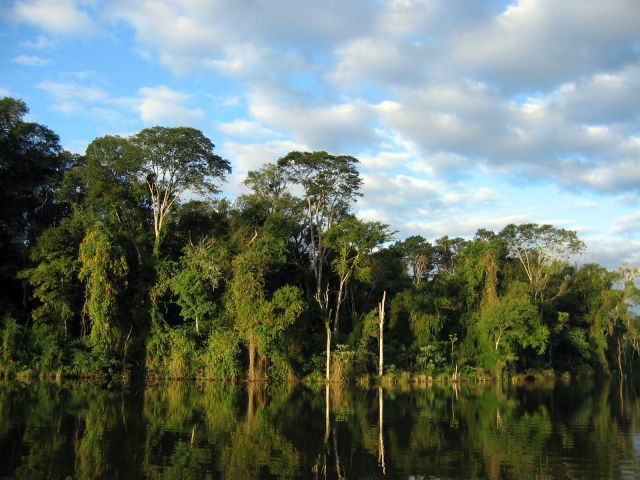 Côte de la découverte - Réserves de la forêt atlantique