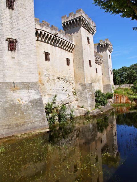 Douves du Château de Tarascon