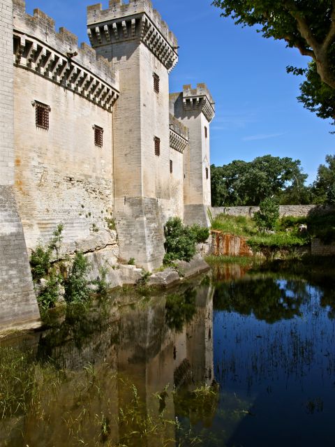 Douves entourant le Château de Tarascon