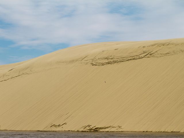 Dune