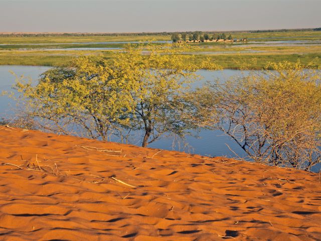 Fleuve Niger