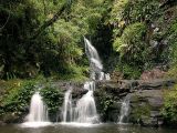 Cascades Elabana, Forêts humides Gondwana de l'Australie