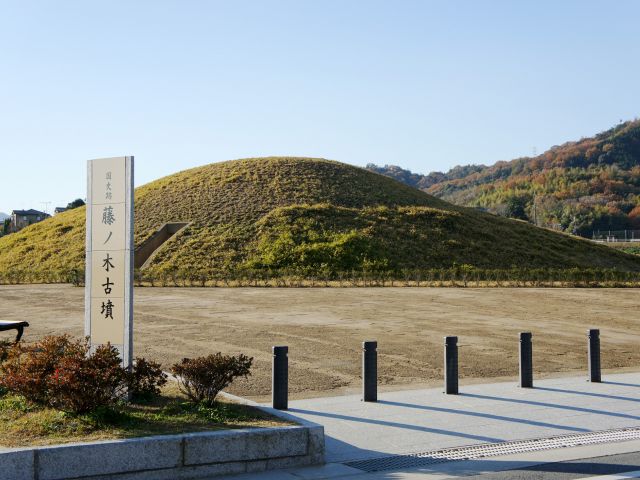 Fujinoki tomb