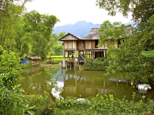 Habitation Mai Chau