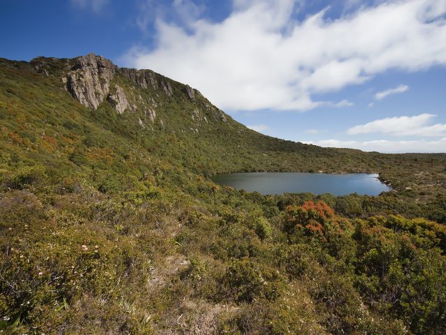 Ladies Tarn