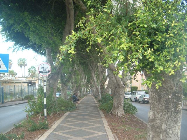 Kiryat Ata