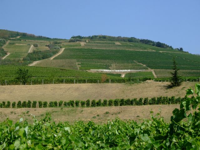 Vignobles Hétszőlő