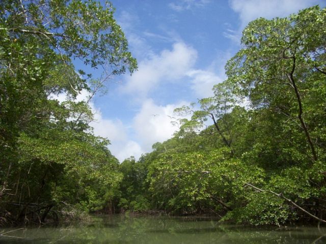 Parc national de Jau