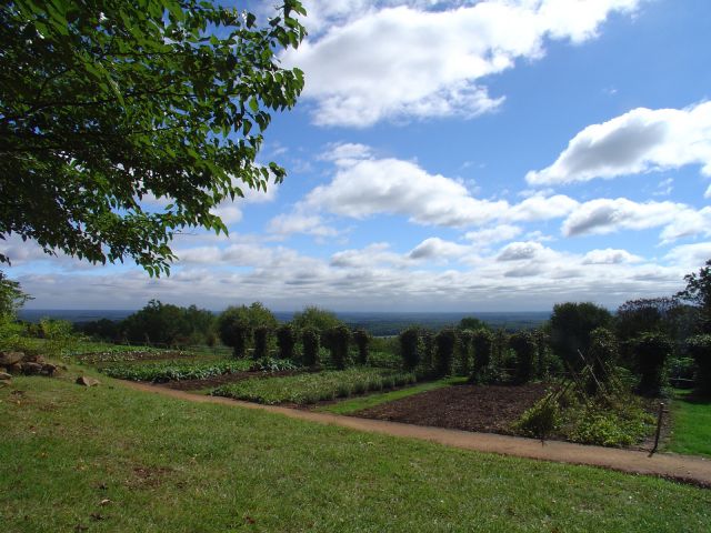 Vegetable garden