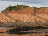 Falaises fossilifères de Joggins