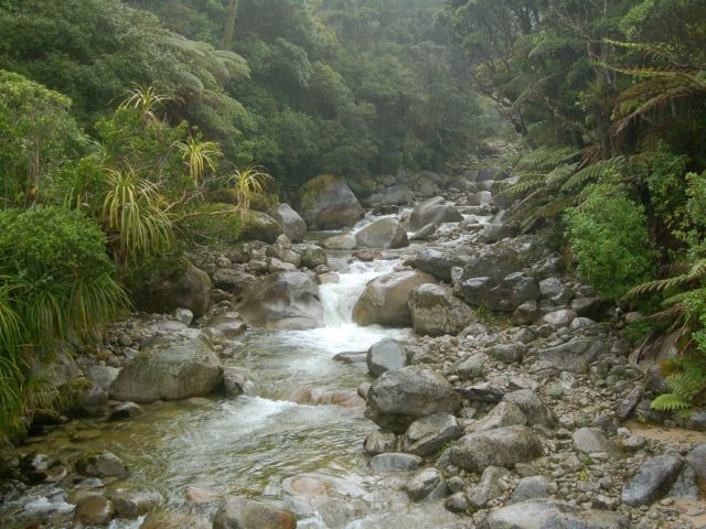 Parc National Kahurangi