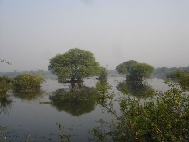 Parc national de Keoladeo