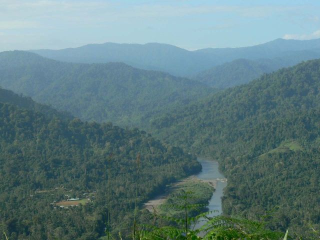 Parc national La Amistad