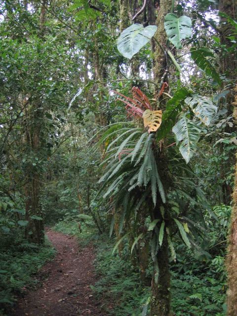 Parc international La Amistad