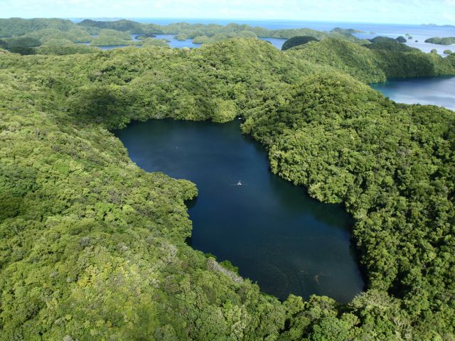 Jellyfish Lake