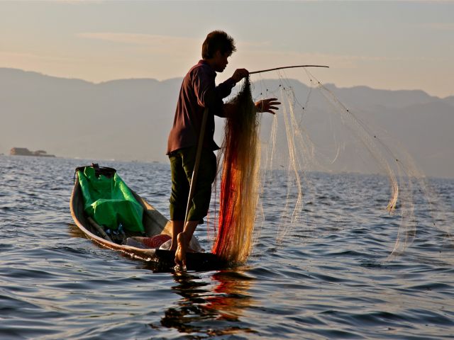 Fisherman