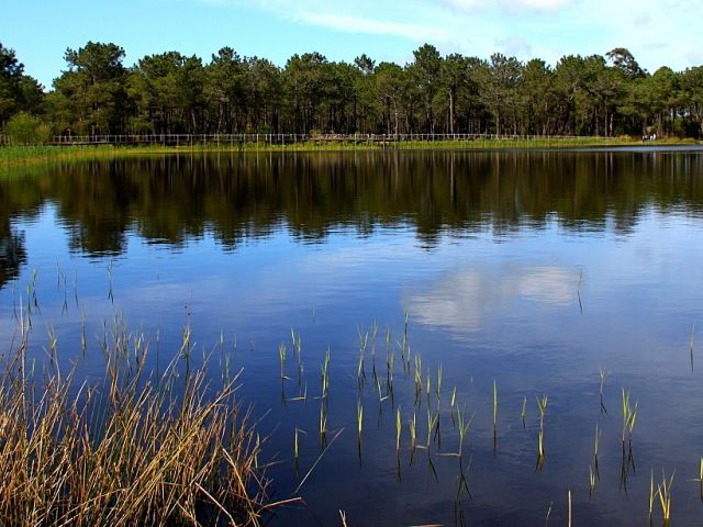 Lagoa de Pataias