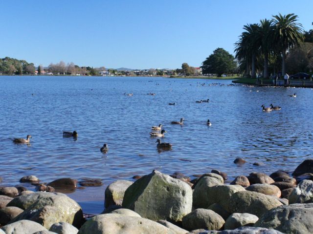 Lake Rotoroa