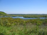 Lac Srebarna, réserve naturelle de Srébarna