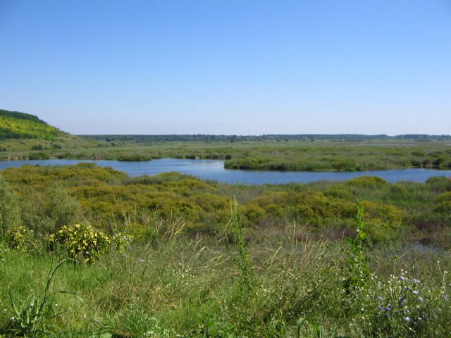 Lac Srebarna