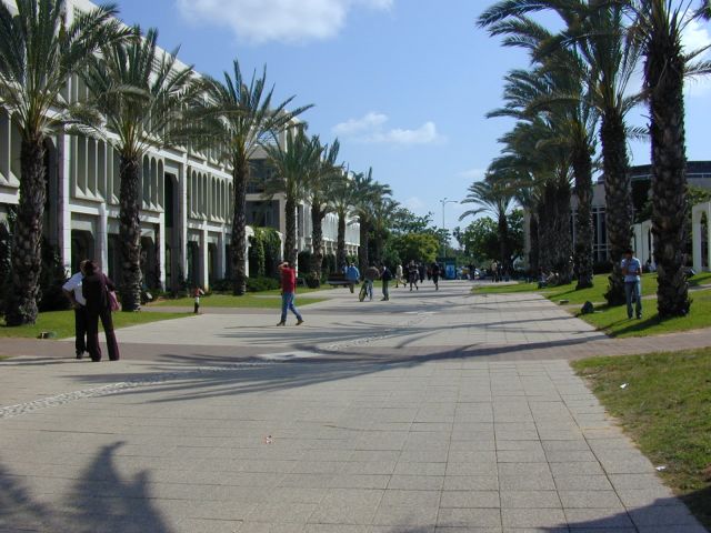 Université de Tel-Aviv