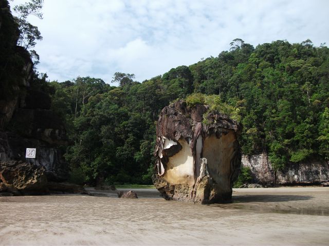 Parc national de Bako