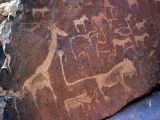 Pétroglyphes d'animaux, Twyfelfontein
