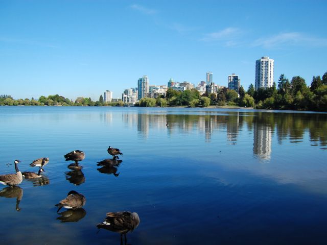 Lost Lagoon