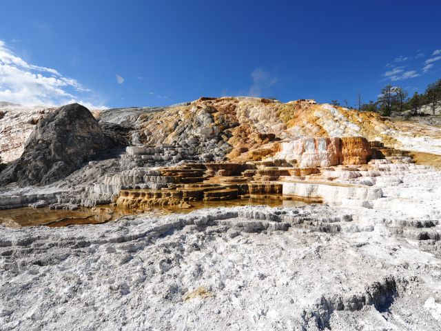 Mammoth Hot Springs