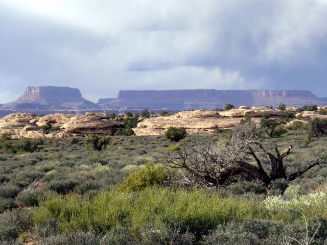 Parc national de Canyonlands