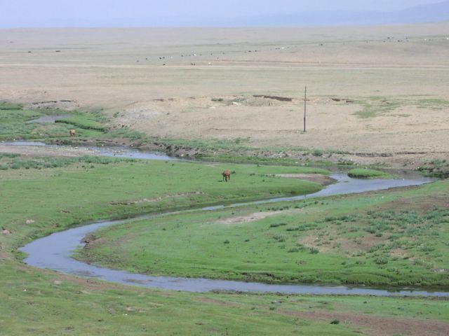 Steppe mongole