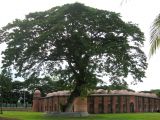 Mosquée Shatgumbad, ville-mosquée historique de Bagerhat