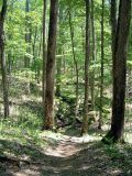 Sentiers, parc national de Mammoth Cave