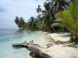 Plage, parc national du Darien