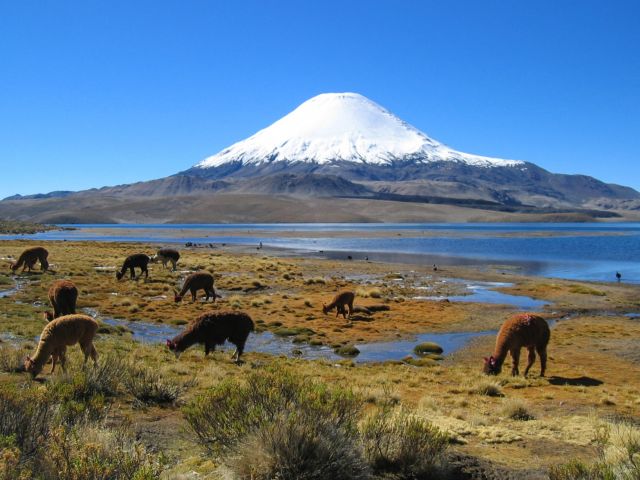 Parinacota Volcano