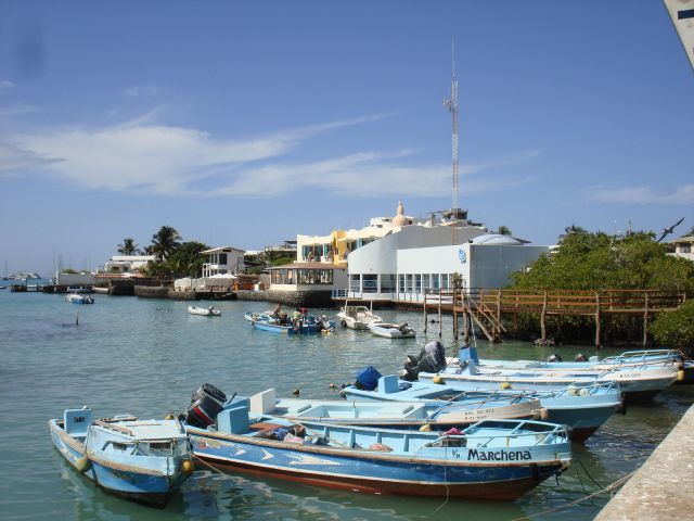 Puerto Ayora Harbor