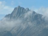 Puncak Jaya, parc national de Lorentz