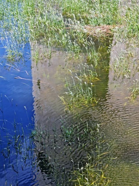 Reflet du Château de Tarascon