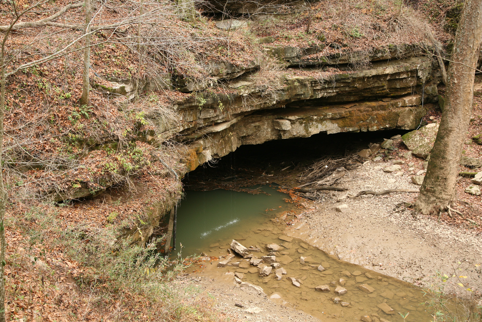 River Styx Parc National De Mammoth Cave Kentucky Landolia Un Monde