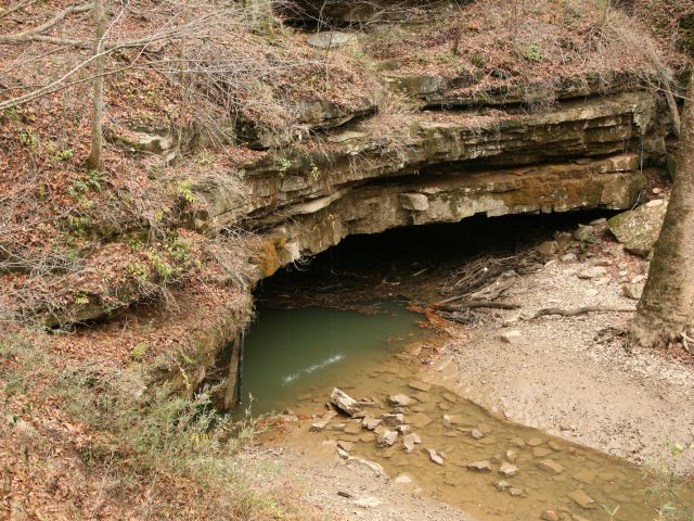 Parc national de Mammoth Cave