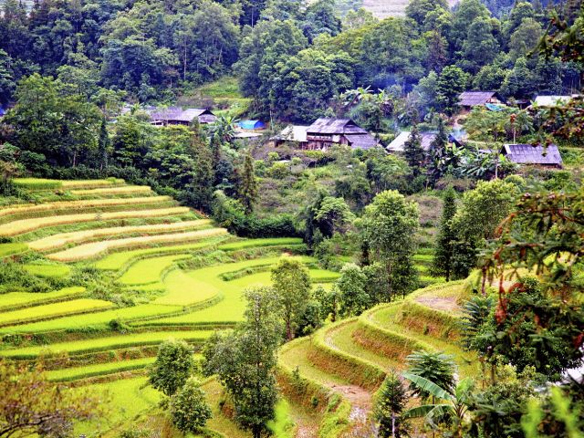 Rizières de Ha Giang