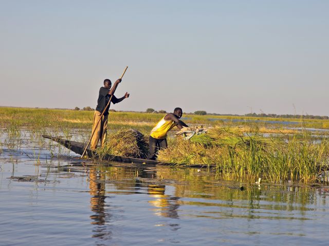 Pirogue