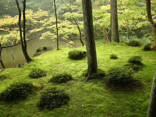 Saiho-ji