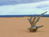 Dune de sable, région des lacs Willandra