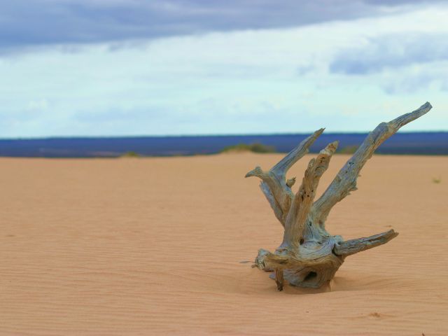 Sand dune